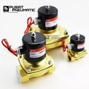 Solenoid Valve kuningan 2 way 1 1/2" Normal Close ac220/dc24