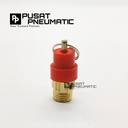 Mini Safety Valve 1/4" Safety Valve Kompressor