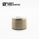 PLUG 1/4" Baut L ( 6mm) Baut L tanam Ukuran 1/4"(m10) Penutup Drat