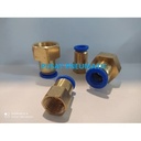 FITTING LURUS FEMALE PNEUMATIC SELANG 6MM DRAT 1/4"