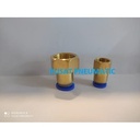 FITTING LURUS FEMALE PNEUMATIC SELANG 8MM DRAT 1/4"