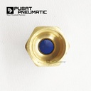 FITTING LURUS FEMALE PNEUMATIC SELANG 6MM DRAT 1/4"