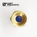 FITTING LURUS FEMALE PNEUMATIC SELANG 8MM DRAT 1/4"