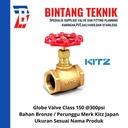 Globe Valve 2 1/2" inch Bronze Kitz Class #150