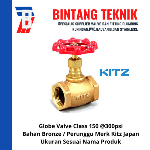 Globe Valve 3/4" inch Bronze Kitz Class #150