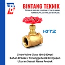 Globe Valve 3/4" inch Bronze Kitz Class #150