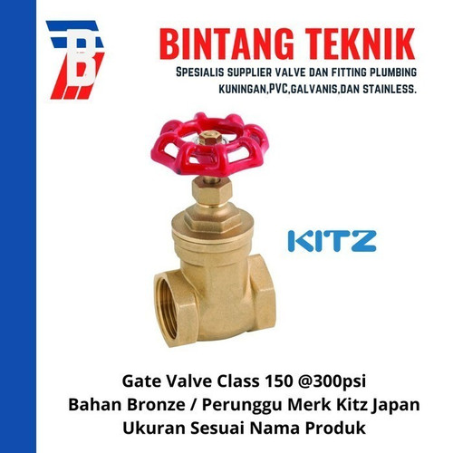 Gate Valve 2 1/2" inch Bronze Kitz Class #150
