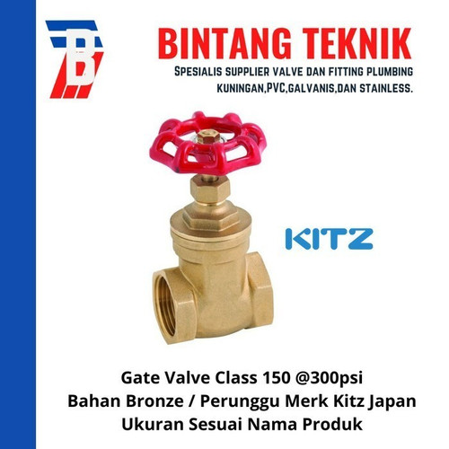 Gate Valve 2" inch Bronze Kitz Class #150