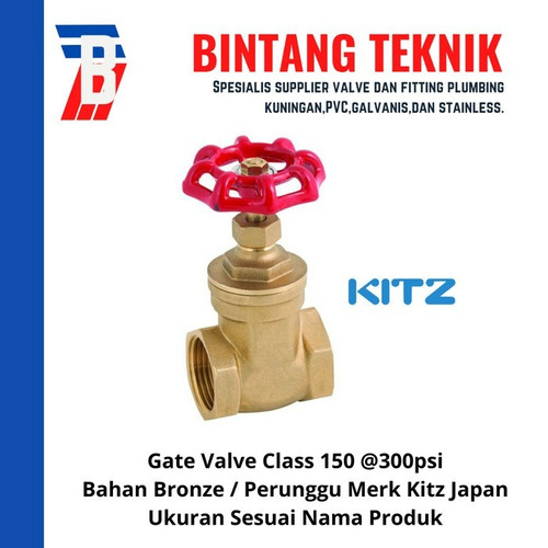 Gate Valve 1 1/4" inch Bronze Kitz Class #150
