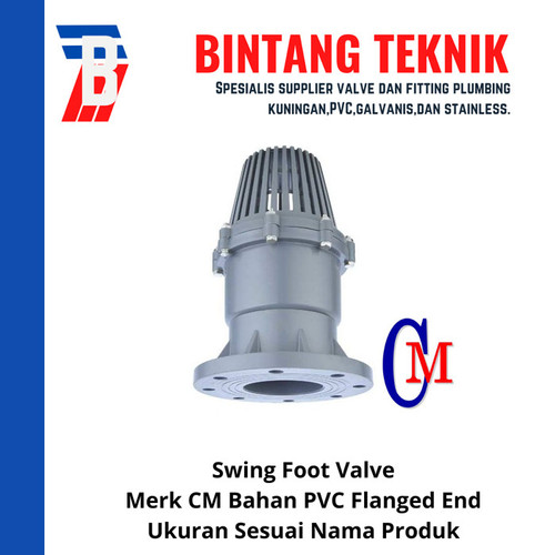 Swing Foot Valve PVC 3" inch CM Taiwan - Flange