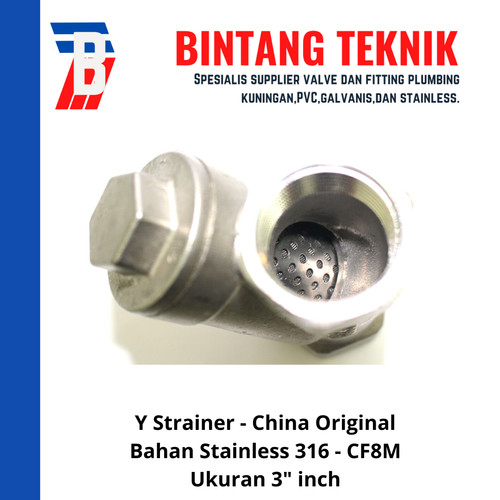 Y Strainer Stainless (SUS) 316 3" inch