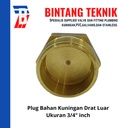 Plug Kuningan 3/4" inch