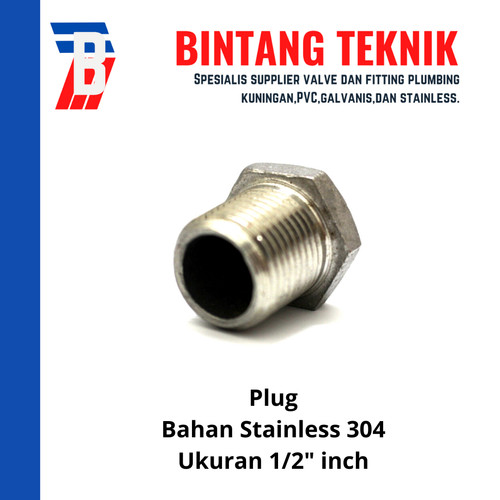 Plug SS304 C 150 Uk. 1/2"