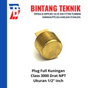 Plug (Vlug) 1/2" inch Full Kuningan Class 3000 Drat NPT