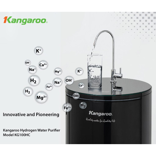 Kangaroo Water Purifier RO Hydrogen KG 100 HC