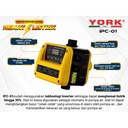 Automatic Pump Control & Inverter York IPC 01