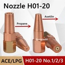 Nozzle Gas Cutting Machine Acetylene Propana H01-20 No.1 No.2 No.3 ACE