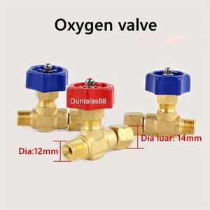 CG1-30 CG1-100 Gas Cutting Mesin Biru Selang Oxygen Valve CG1 30 100