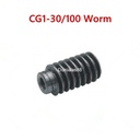 CG1-30 CG1-100 Gas Potong Mesin Gear Box Rack Worm Switch CG1 30 100