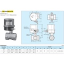 Electric / Motorized Ball Valve Stainless SUS316 KITZ Fig. EA-UTE , 2" - 50A - 50mm , Drat / Screw