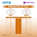 NPT Klep Tabok / Check Valve KITZ Fig. 125 AKR , 3/4" - 20mm , Drat