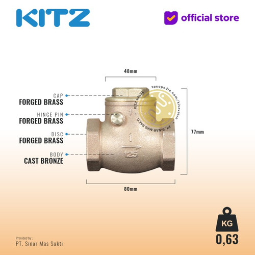 NPT Klep Tabok / Check Valve KITZ Fig. 125 AKR , 1" - 25mm , Drat Kasar