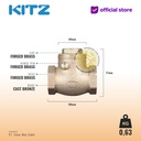 NPT Klep Tabok / Check Valve KITZ Fig. 125 AKR , 1" - 25mm , Drat Kasar