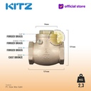 NPT Klep Tabok / Check Valve KITZ Fig. 125 AKR , 2" - 50mm , Drat Kasar