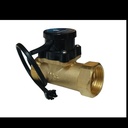 Otomatis Pompa Booster Flow Switch 1" Waterplus