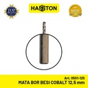 Hasston Mata Bor Besi Cobalt 12.5mm / Drill Bit Cobalt (0501-125)