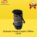 Hydraulic Female Coupler 2500bar/250mpa CEJN