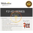Remote Hoist / Remote Wireless Hoist F21-E2 TELEcontrol Single Speed