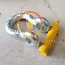 Shackle Omega Bow Sackle G209 3,25 Ton - 5/8" Segel Screw Pin