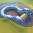 Bow Shackle Omega G209 9.5 Ton - 1 1/8" Segel Screw Pin