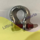 Bow Shackle Omega G209 1 Ton - 3/8" Segel Screw Pin