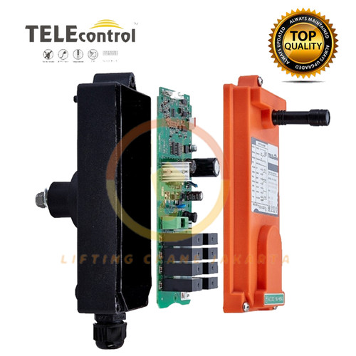 Remote Hoist / Remote Wireless Hoist F21-E2 TELEcontrol Single Speed
