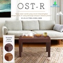 Olymplast OST-R Meja Plastik Sofa Table Rotan Rattan Ruang Tamu Teras