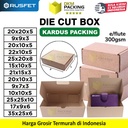 DIE CUT BOX Kardus Kotak Packaging Pizza Hampers Packing Barang Corrugated Gift Box RUSFET