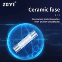 ZOYI Fuse Keramik Fuse For Multimeter Instrument 200mA 3.5mmx10mm 250V