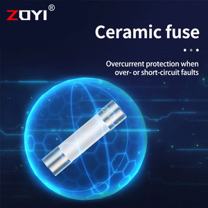 ZOYI Fuse Keramik Fuse For Multimeter Instrument 10A 5mm x 20mm 250V