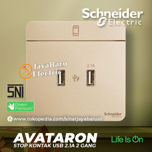 Stop Kontak USB 2Gang 2 Gang SCHNEIDER Avatar On Putih Gold Grey Wood