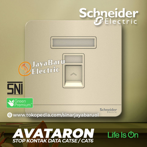 Stop Kontak Data Cat5E Cat6 SCHNEIDER AvatarOn Putih Gold Grey Wood