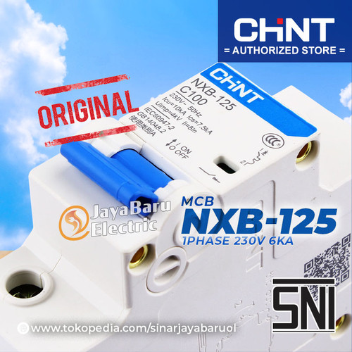 MCB Chint NXB-125 NXB125 1P 80A 100A 125A