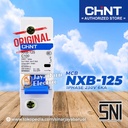 MCB Chint NXB-125 NXB125 1P 80A 100A 125A