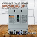 CIRCUIT BREAKER MCCB FUJI BW250 BW250EAG BW250-EAG 3P 200A 225A 250A