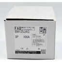 MCCB Fuji BW125JAG 3P 100A