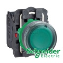 Push Button Lamp Plastik Schneider Hijau XB5AW33M5 230V-240V AC