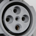 Legrand Panel Mounting Socket 3P+E / 4 Pin 63A P17 Tempra Pro 555588