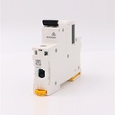 Schneider MCB iC60N 1P 1A 2A 4A Acti9