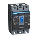 CHINT Thermal Magnetic Fixed Tipe MCCB NXM-H/NXM-S/3P